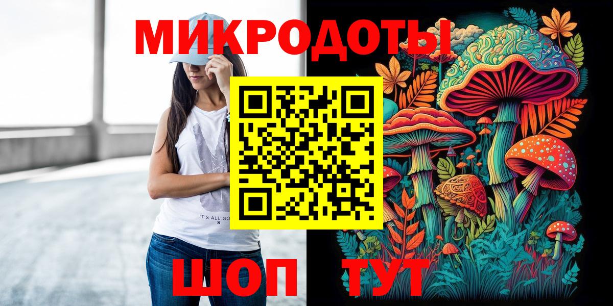 Галлюциногенные грибы Psilocybine cubensis Городец
