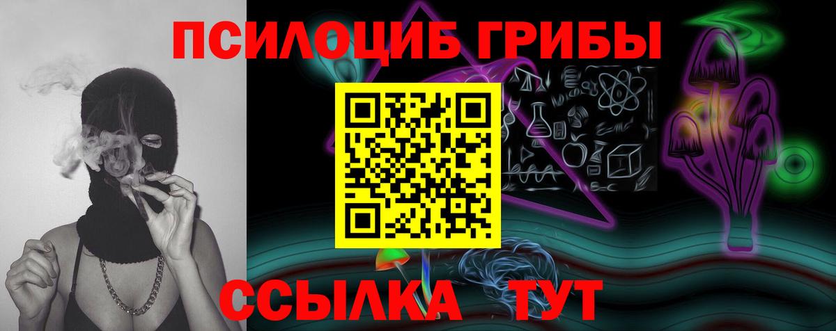 наркотики  Псилоцибиновые грибы прущие грибы  Вход с VPN  Городец 